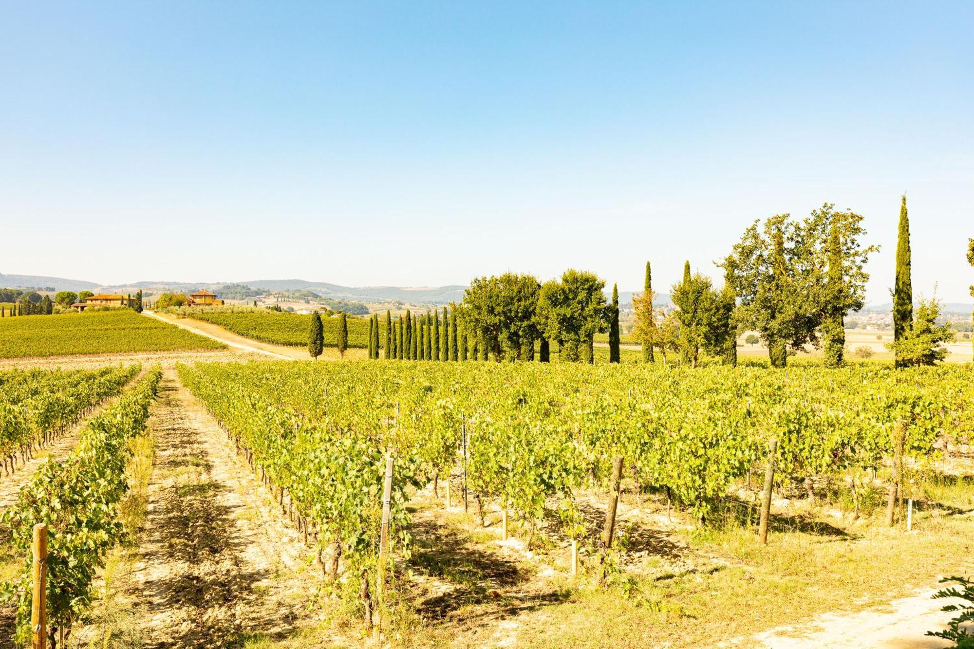 Appartamento Greppino Montepulciano Stazione Eksteriør billede