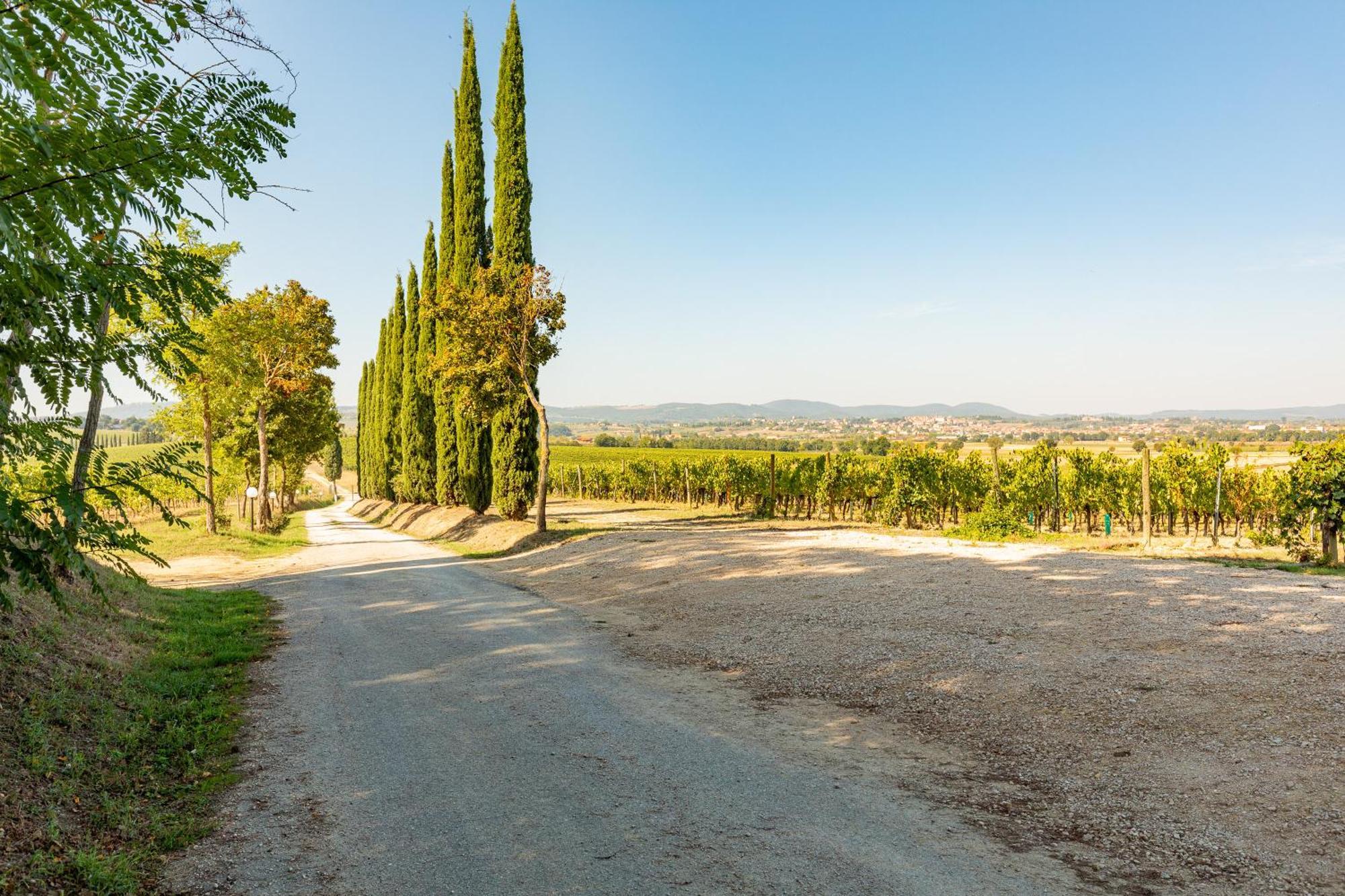 Appartamento Greppino Montepulciano Stazione Eksteriør billede