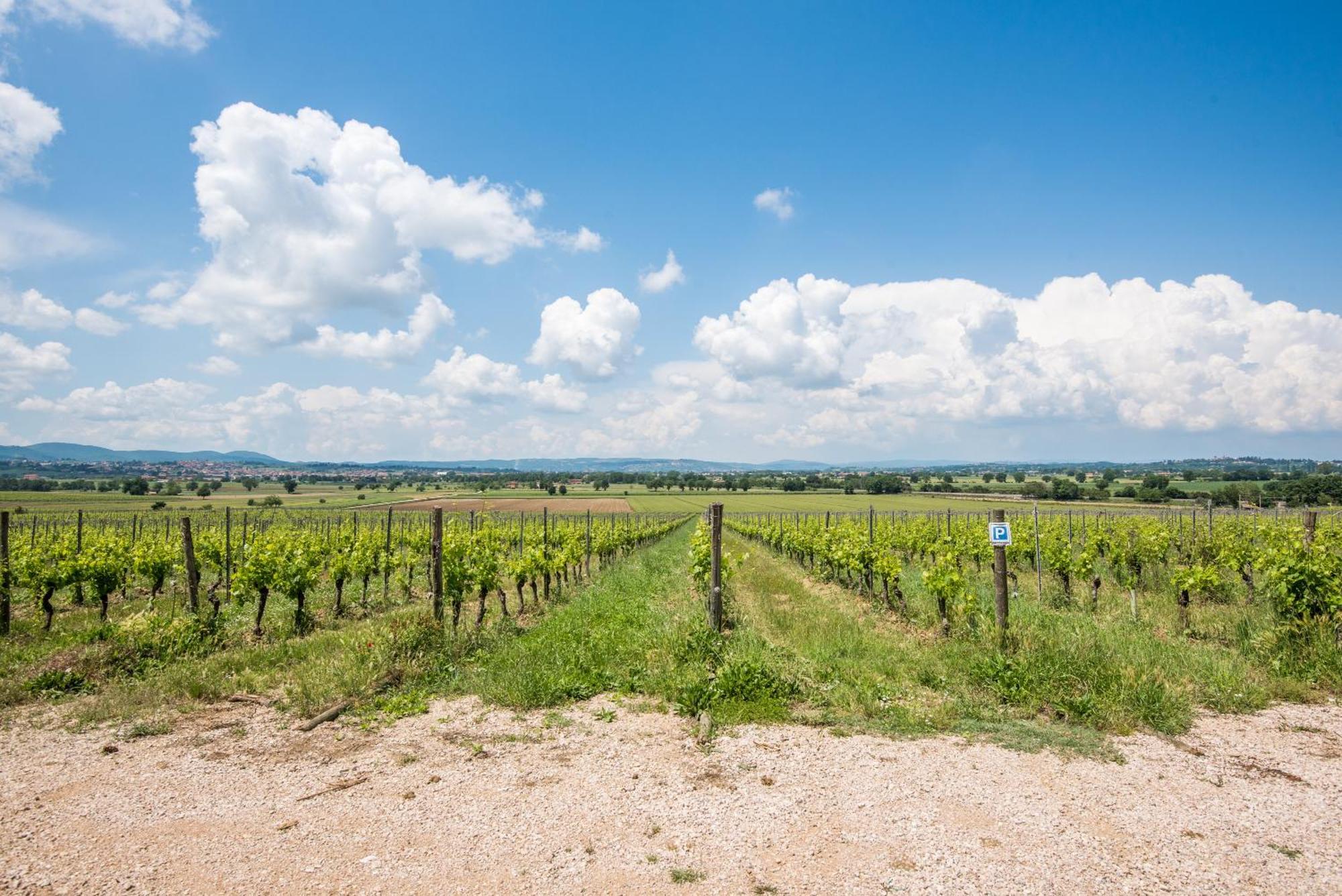 Appartamento Greppino Montepulciano Stazione Eksteriør billede